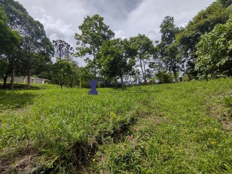 Chácara, 3 quartos - Foto 8