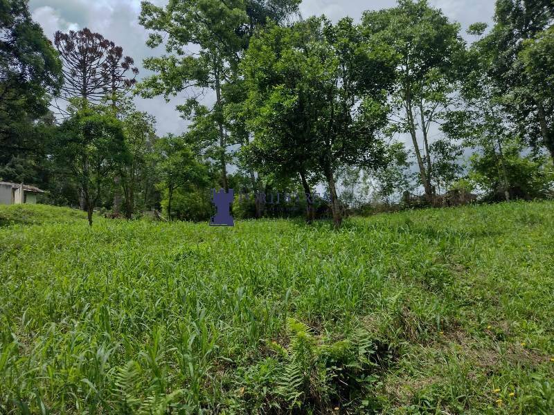 Chácara, 3 quartos - Foto 10