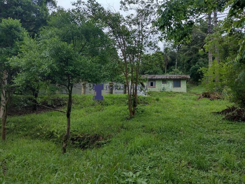 Chácara, 3 quartos - Foto 12