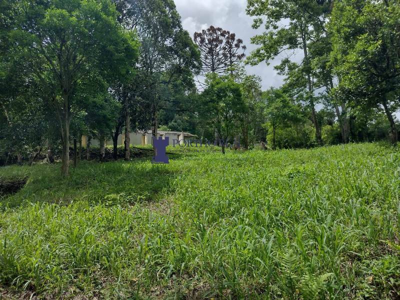 Chácara, 3 quartos - Foto 13