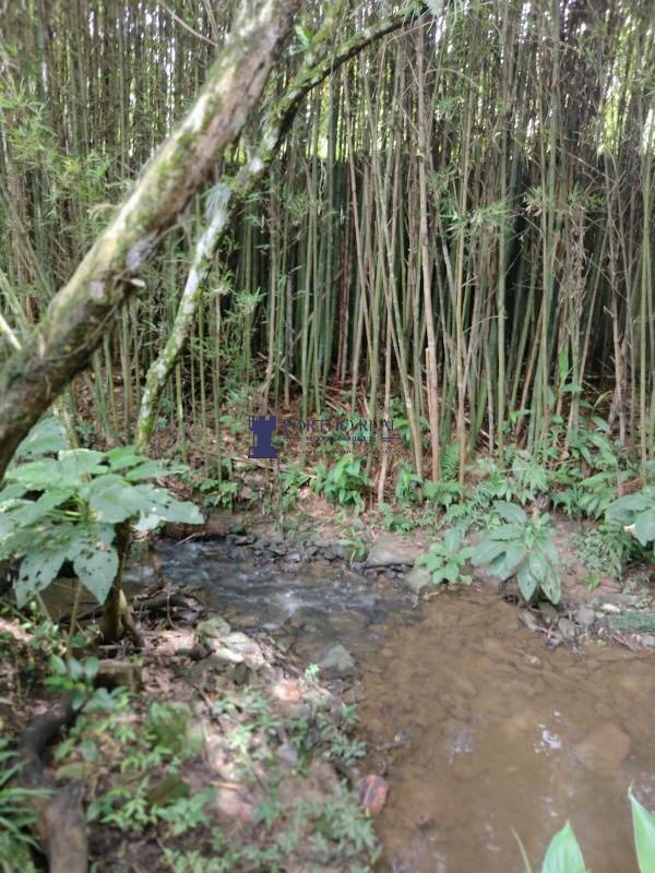 Chácara, 3 quartos - Foto 14