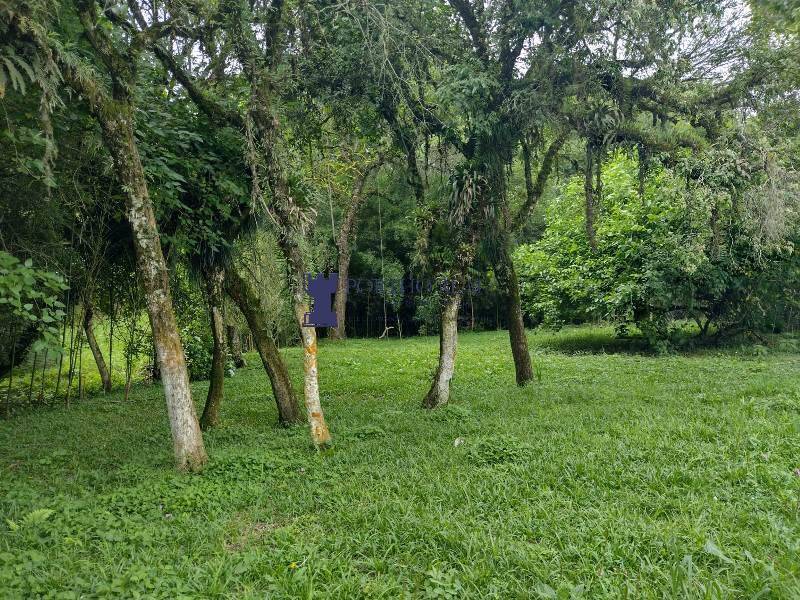 Chácara, 3 quartos - Foto 15