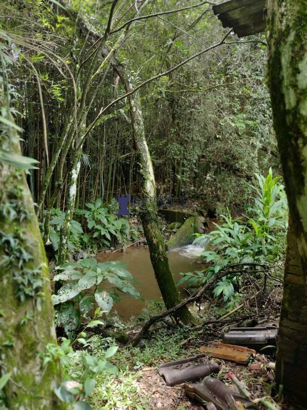 Chácara, 3 quartos - Foto 16