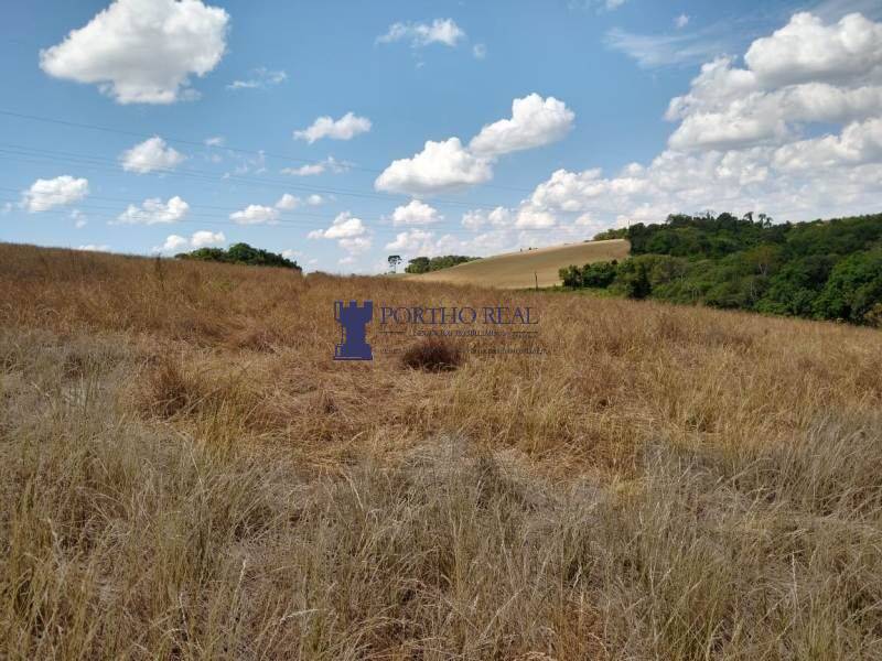 Terreno, 3 hectares - Foto 9