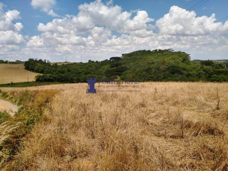 Terreno, 3 hectares - Foto 10