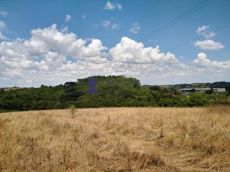 Terreno, 3 hectares - Foto 11