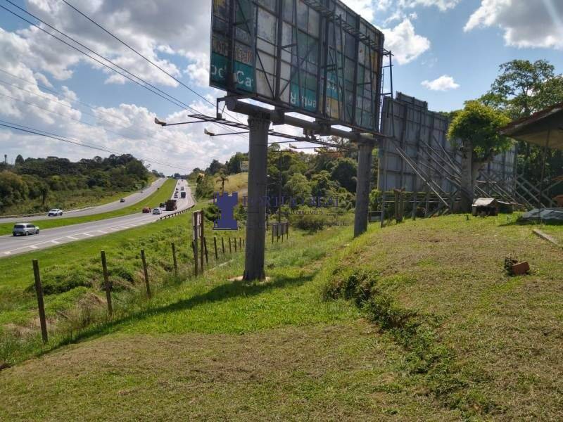 Terreno, 3 hectares - Foto 12