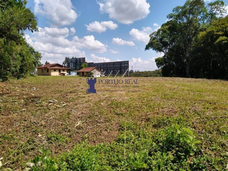 Terreno, 3 hectares - Foto 14
