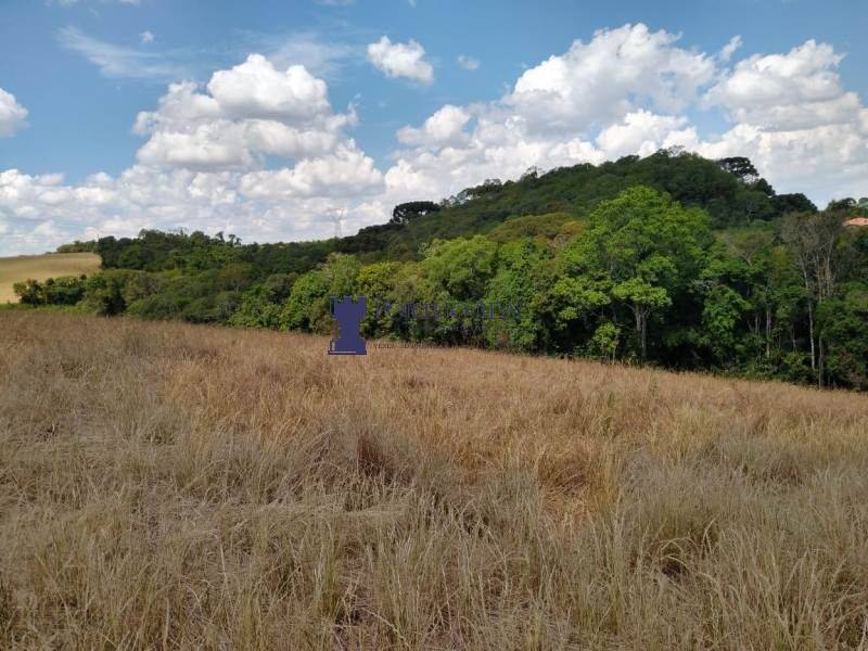 Terreno, 3 hectares - Foto 15