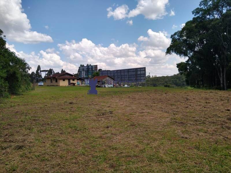 Terreno, 3 hectares - Foto 17